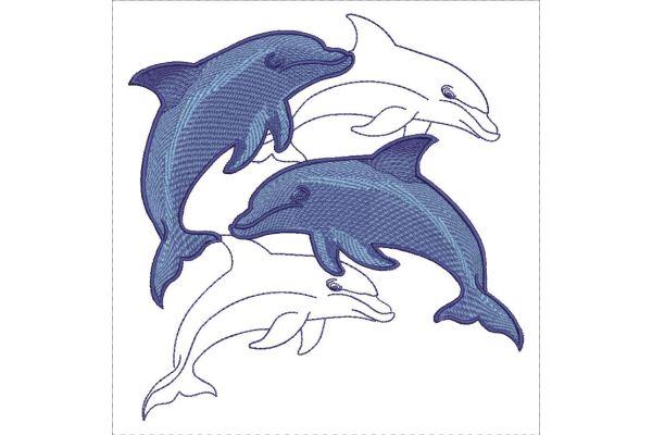 Dolphins-5