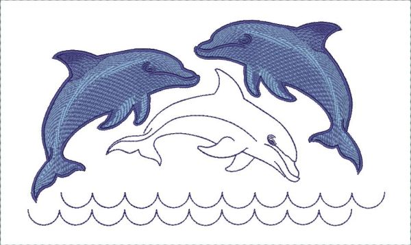 Dolphins-8