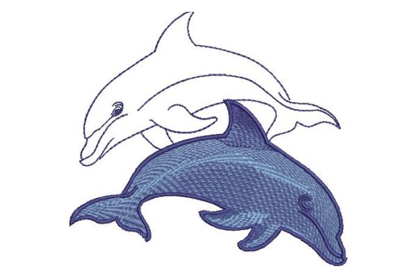 Dolphins-10