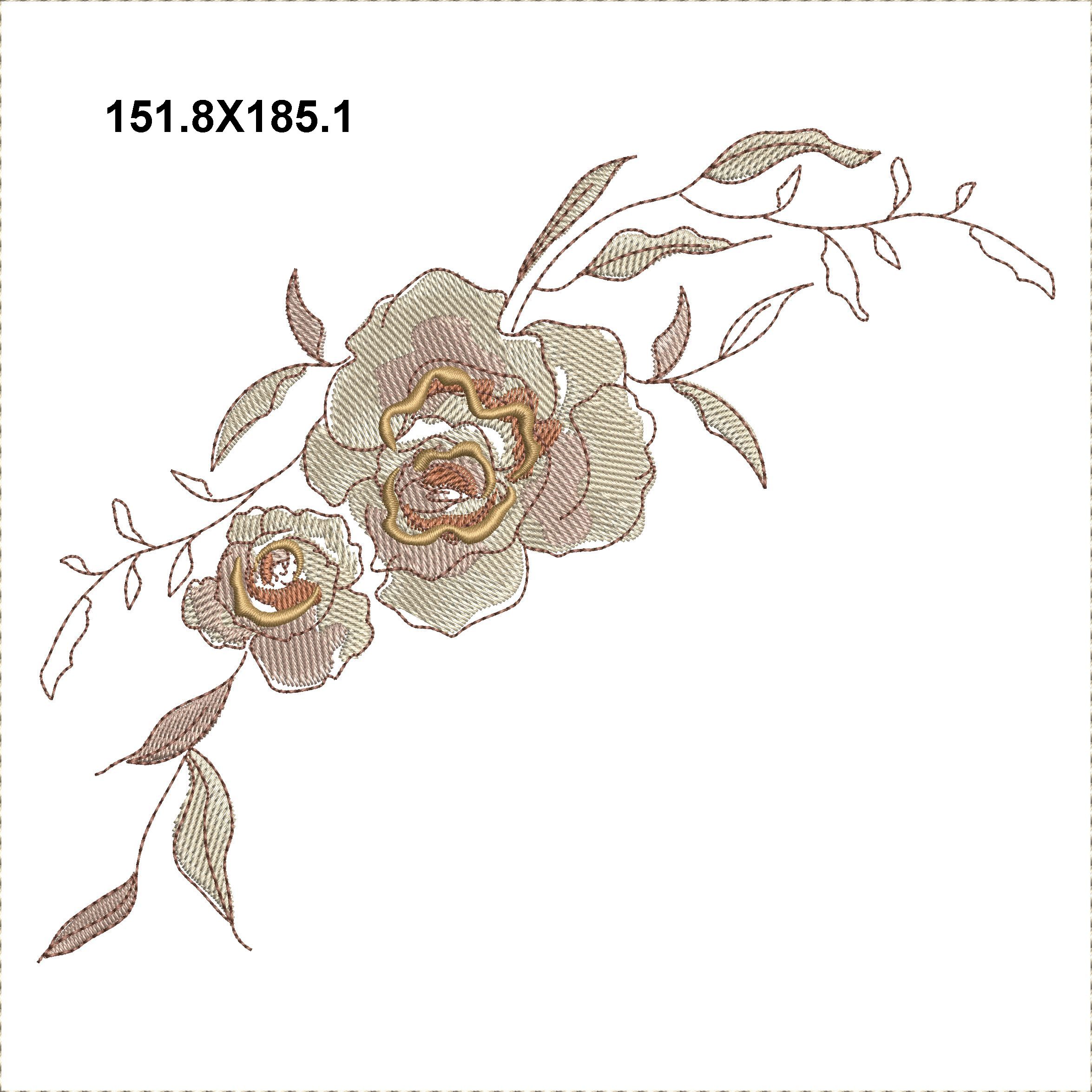 Creamy Roses-17