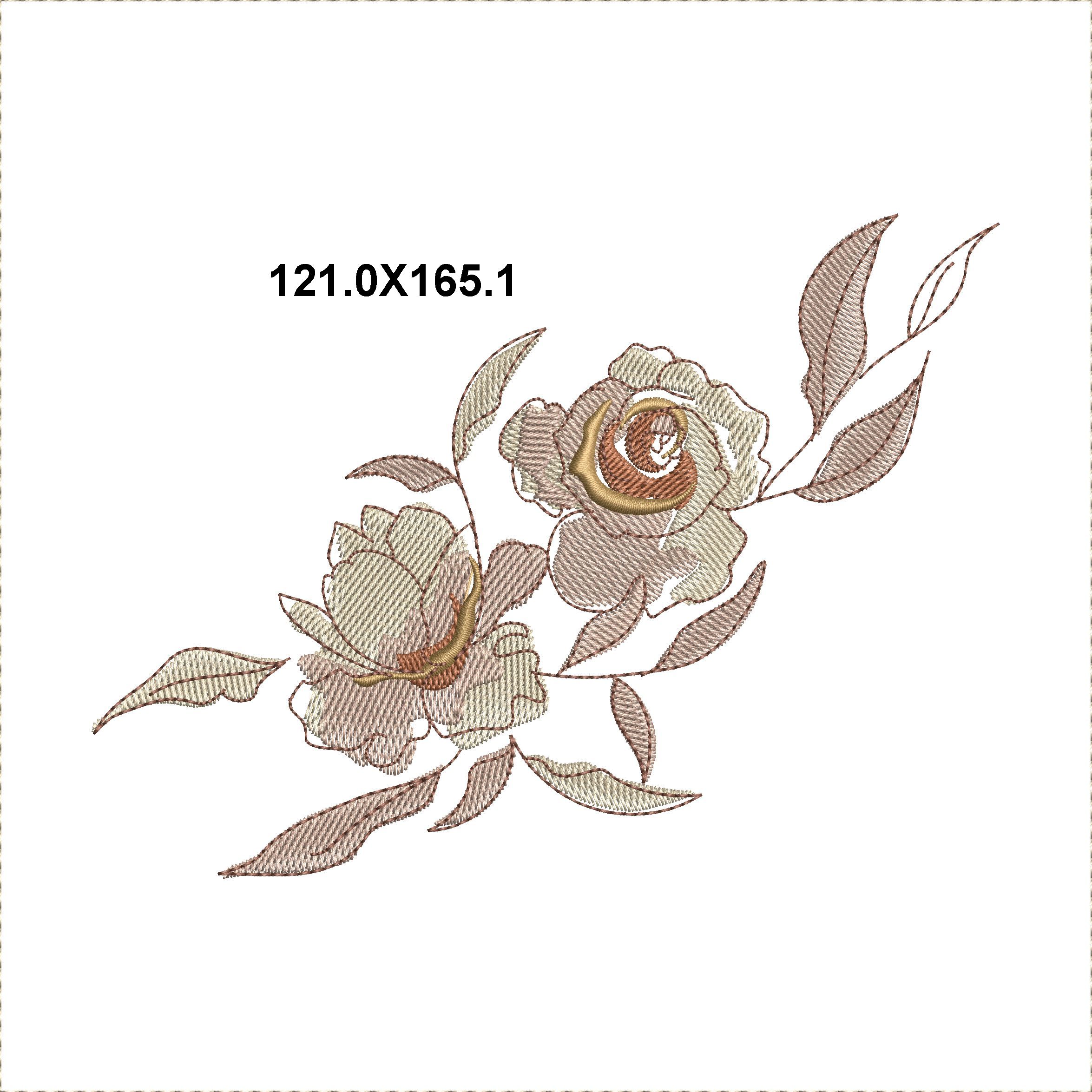 Creamy Roses-19