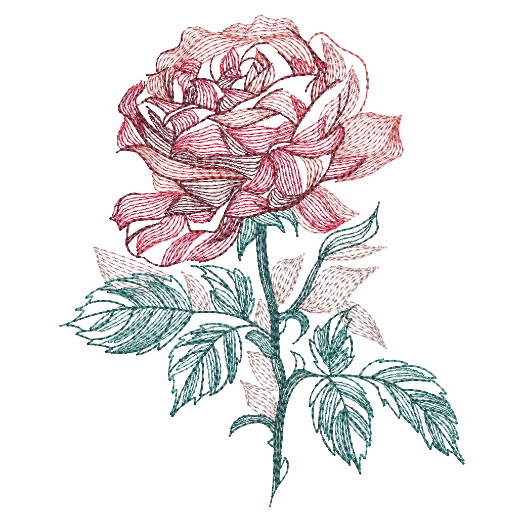 Rose Elegance-4