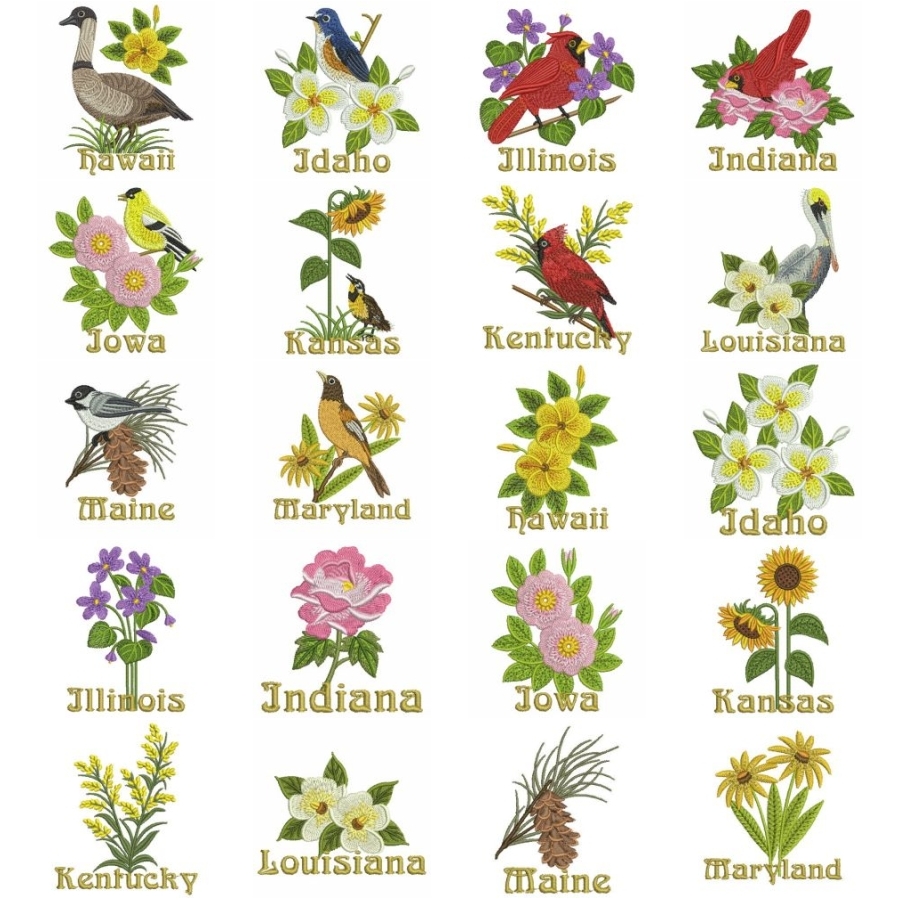 State Birds And Flowers 2 