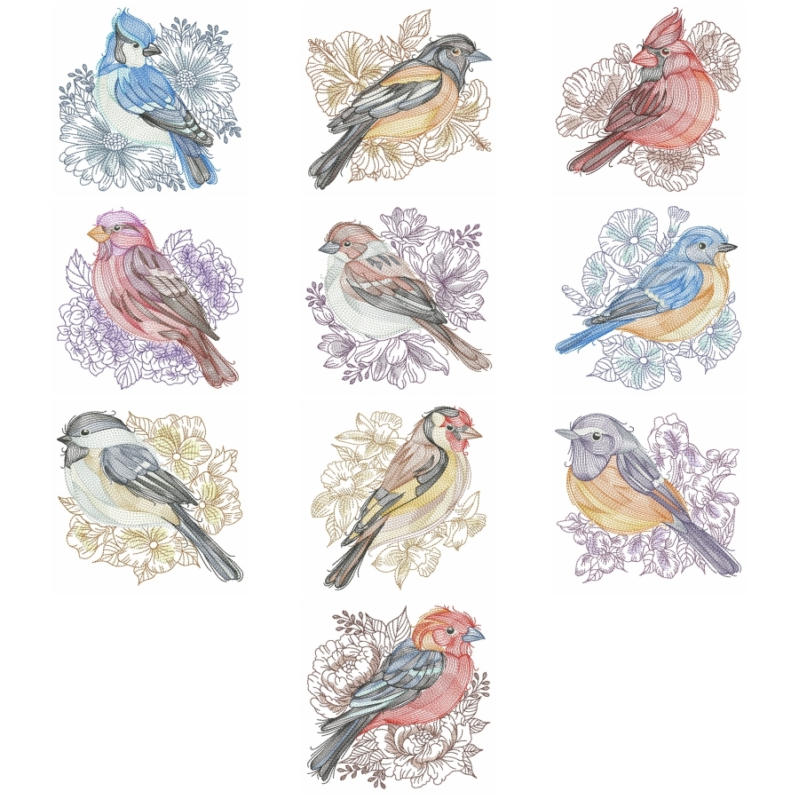 Sketched Birds