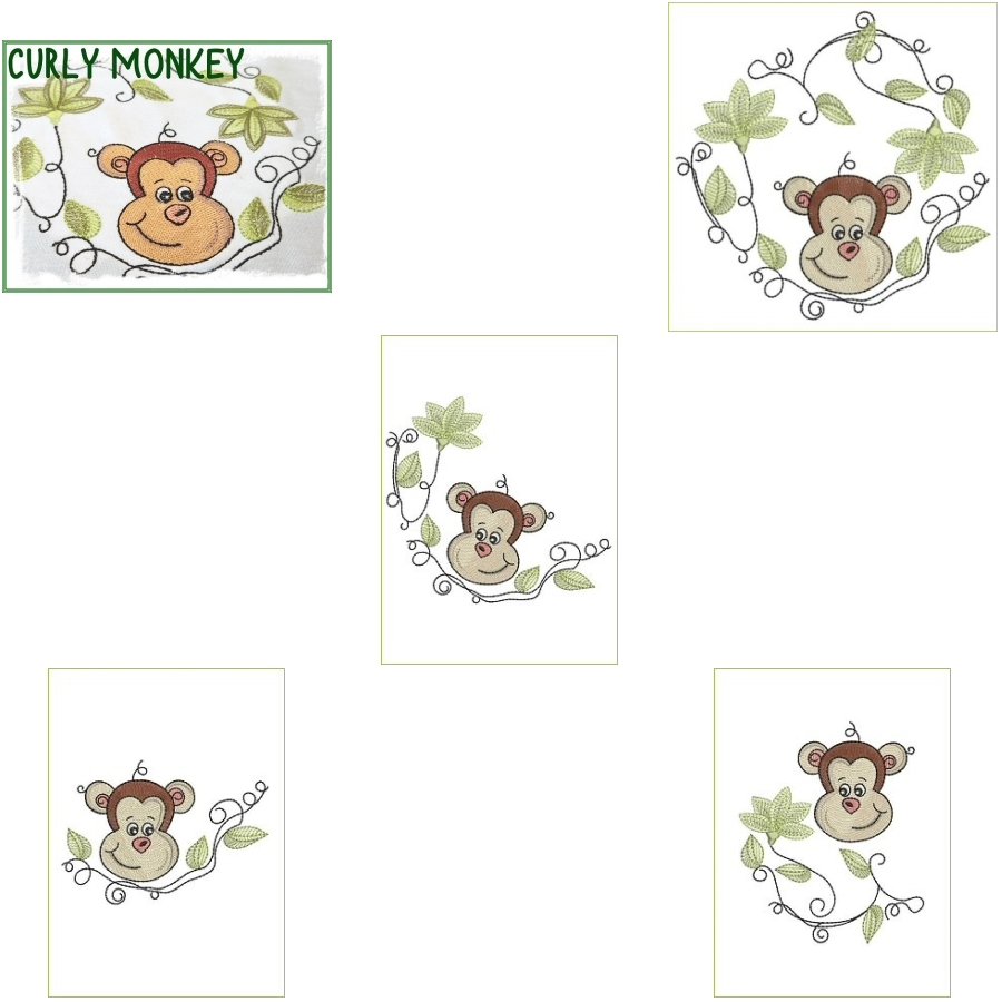 Curly Monkey