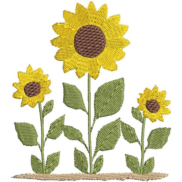 Sunflower Trio