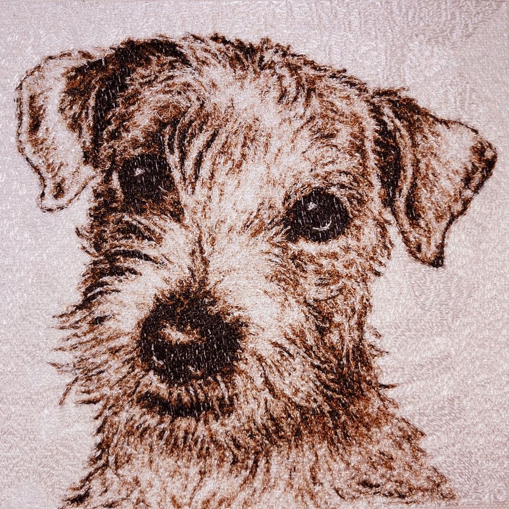 Fox Terrier