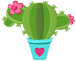 Potted Cactus