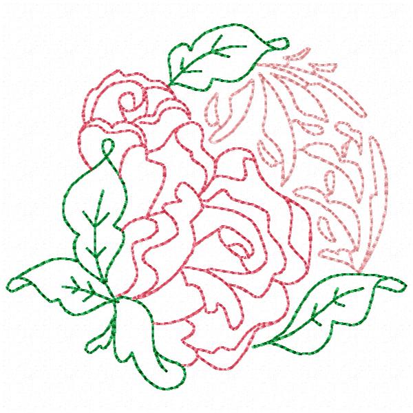 Beautiful Rose Lines-4