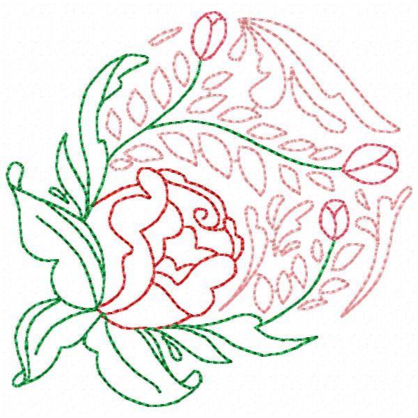 Beautiful Rose Lines-8