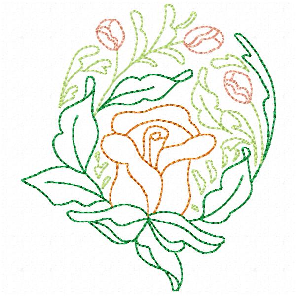 Beautiful Rose Lines-9