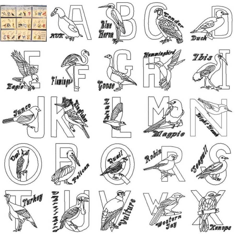 Flight Through the Alphabet 