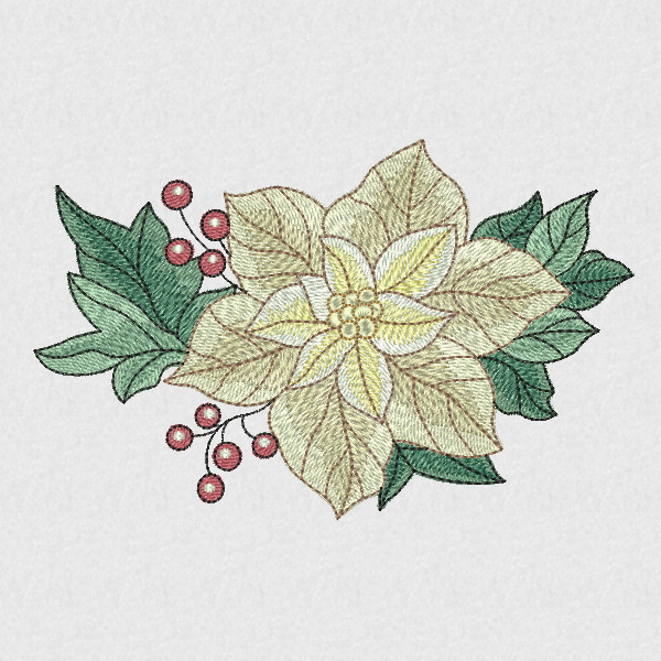 White and Gold Poinsettia-3