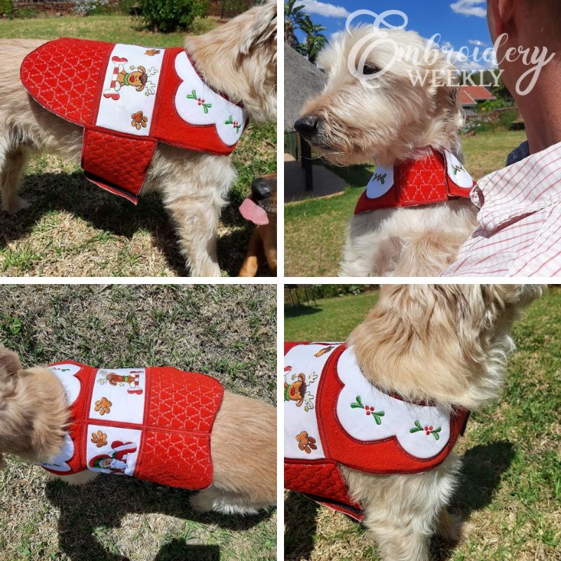 Santa Paws Doggy Coat-3