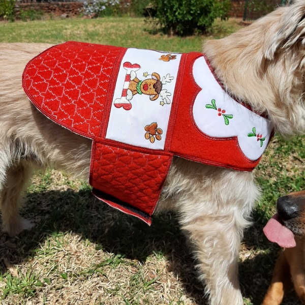 Santa Paws Doggy Coat-5