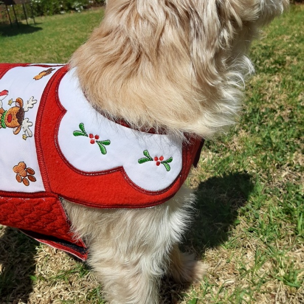 Santa Paws Doggy Coat-6