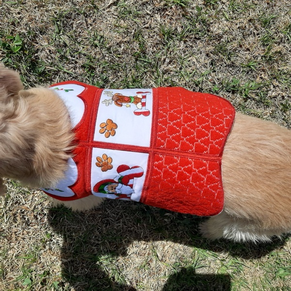 Santa Paws Doggy Coat-9