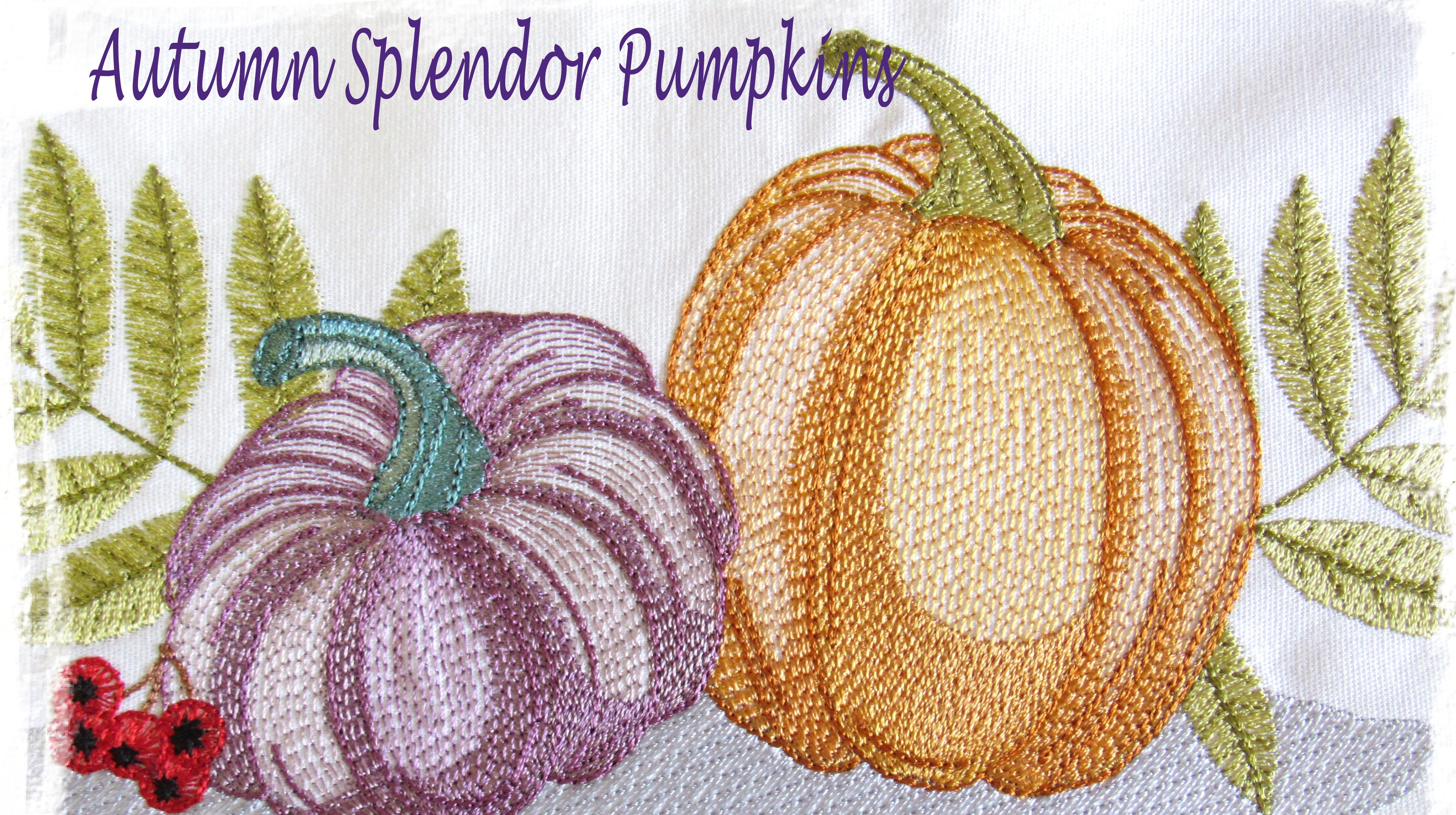 Autumn Splendor - Pumpkins-14