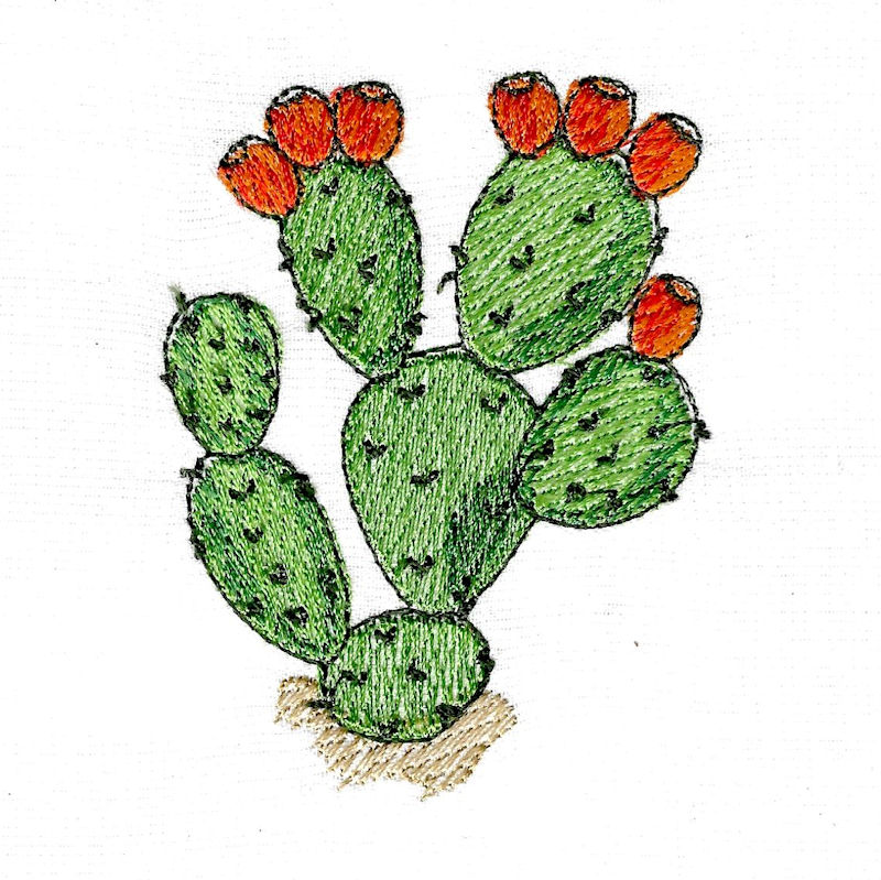 Cactus1