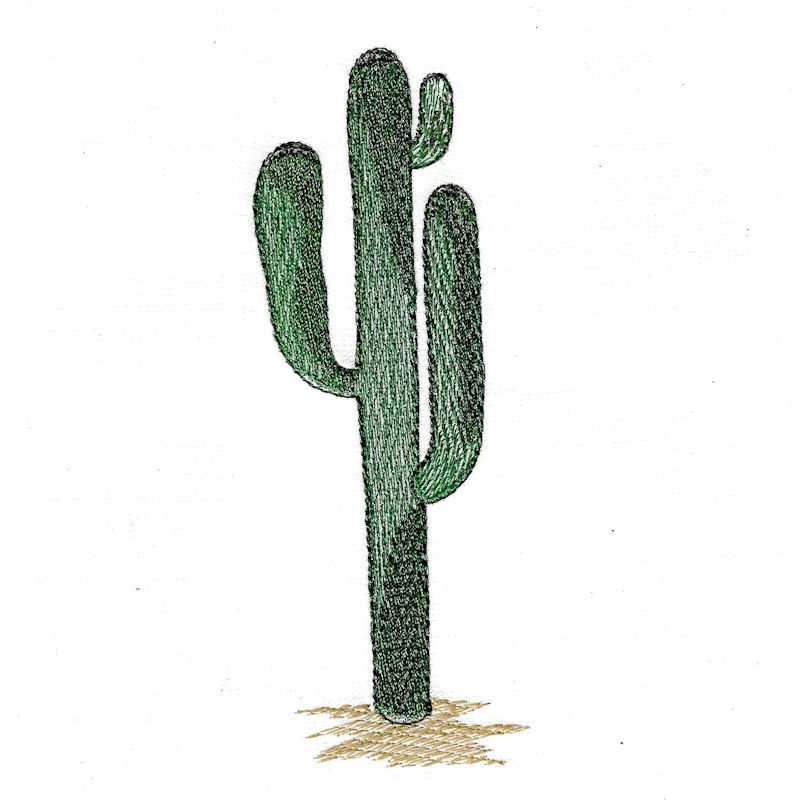 Cactus2