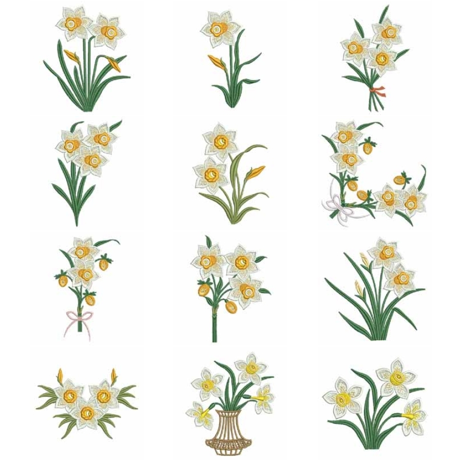 Daffodils