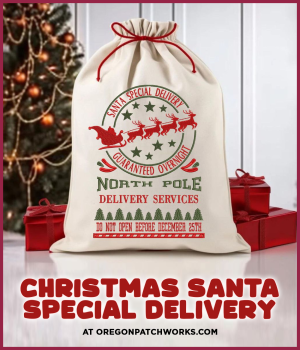 EmbroideryChicDesign Christmas Santa Special Delivery